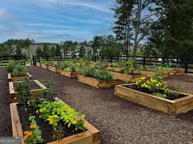 4024 Great Pine Drive, Gainesville, GA 30504