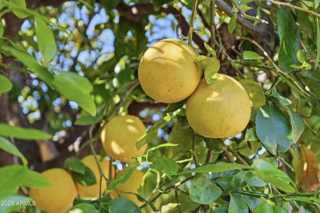 11069 W FARGO Drive, Sun City, AZ 85351