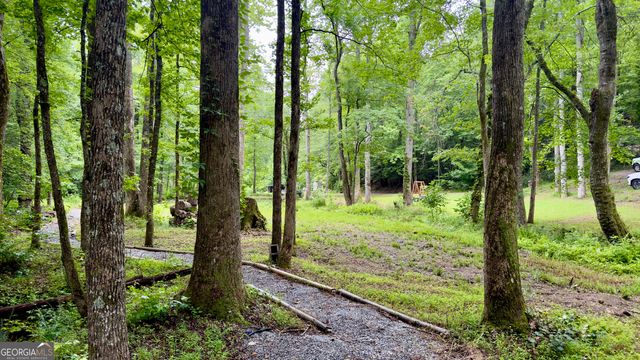 132 Wild Horse Cove Circle, Cleveland, GA 30528