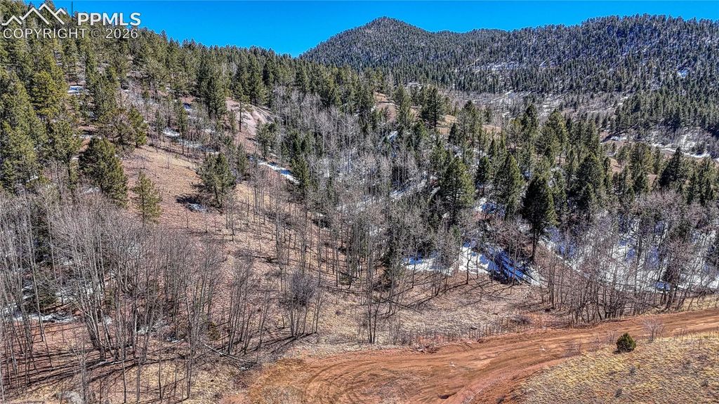 513 Last Dollar Drive, Cripple Creek, CO 80813 — exterior