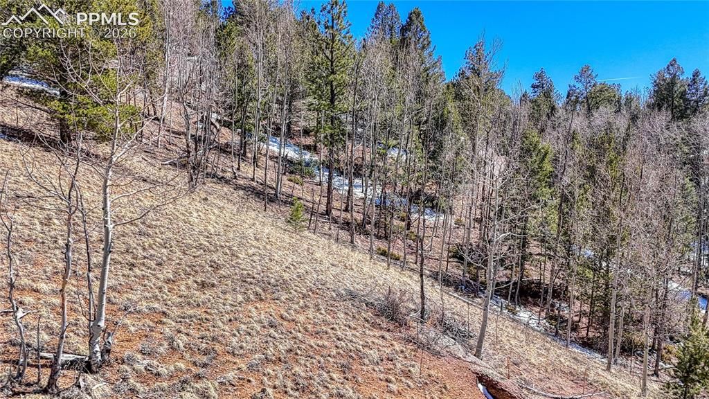 513 Last Dollar Drive, Cripple Creek, CO 80813 — photo 3