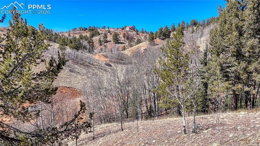 513 Last Dollar Drive, Cripple Creek, CO 80813 — photo 4