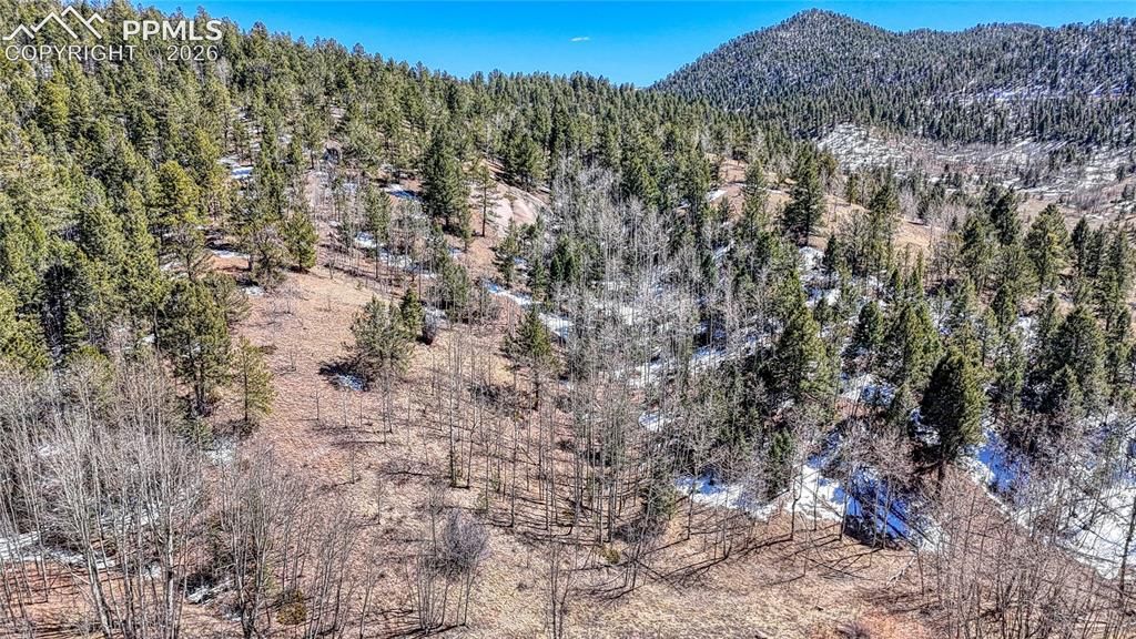 513 Last Dollar Drive, Cripple Creek, CO 80813 — photo 5