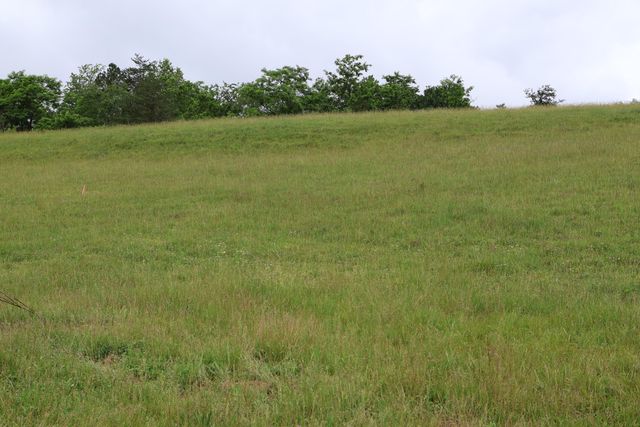 4135 Big Andy Ridge Road Tract 8, Rogers, KY 41365