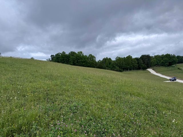 4135 Big Andy Ridge Road Tract 8, Rogers, KY 41365