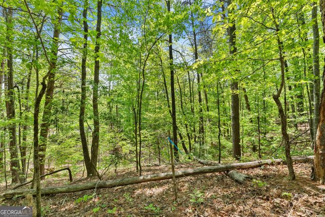 0 Monroe Ridge Road, Sautee Nacoochee, GA 30571