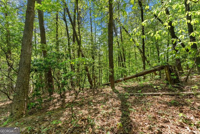 0 Monroe Ridge Road, Sautee Nacoochee, GA 30571