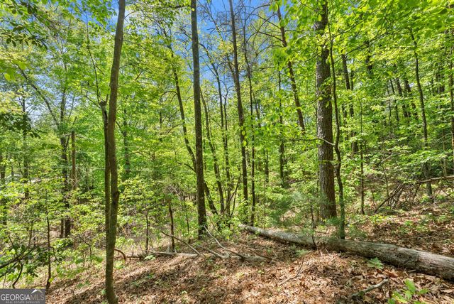 0 Monroe Ridge Road, Sautee Nacoochee, GA 30571