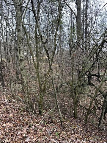 3462 Roy Parks Rd, Gainesville, GA 30507