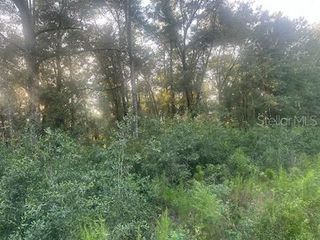 Lots 2 & 3 SW 156 AVENUE, Ocala, FL 34481