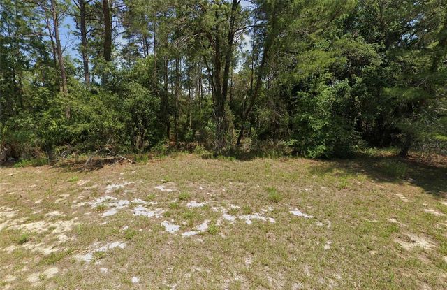 8941 SW 131ST PLACE, Ocala, FL 34476