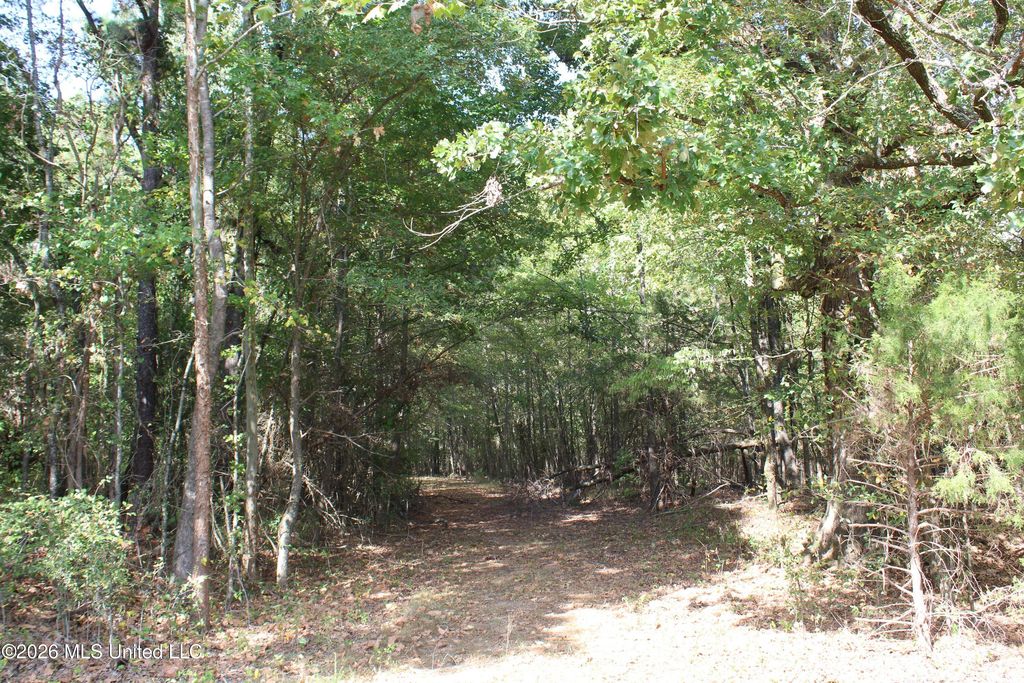 11 Star Landing Road, Nesbit, MS 38651 — photo 2