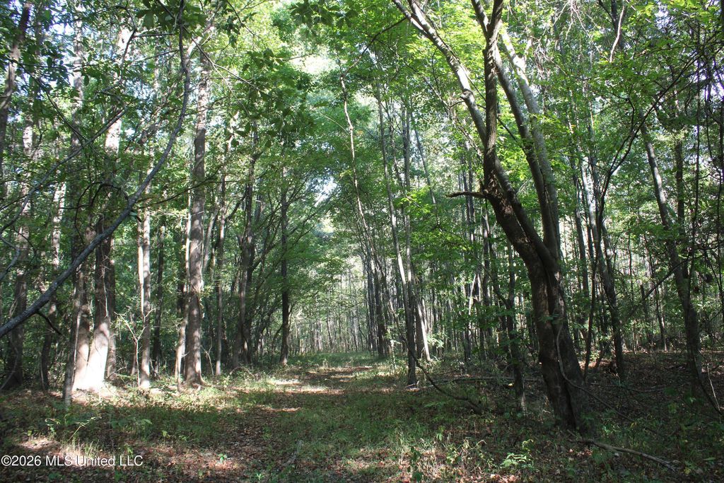 11 Star Landing Road, Nesbit, MS 38651 — photo 3