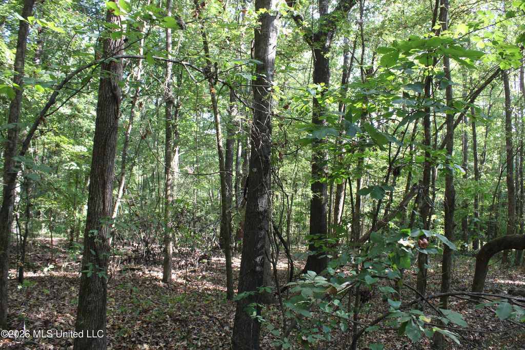 11 Star Landing Road, Nesbit, MS 38651 — photo 5