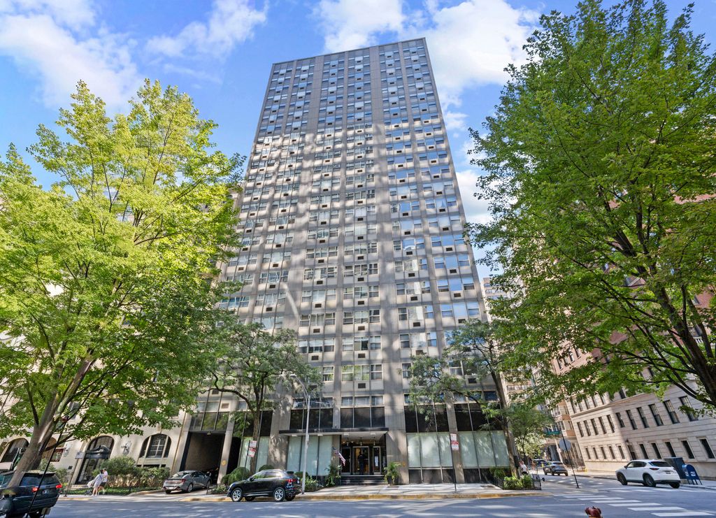 253 E Delaware Place 17D, Chicago, IL 60611