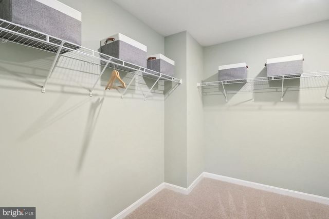 111 STEARNS DR, Stephens City, VA 22655