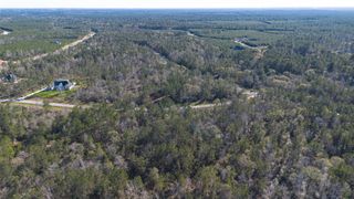 11623 Dawn Tree Lane, Willis, TX 77378