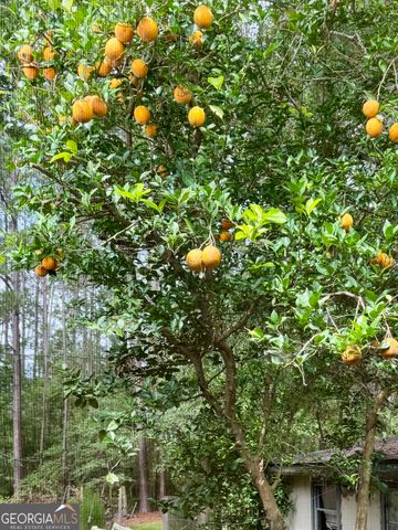 361 L E Stanfield Road, Glennville, GA 30427