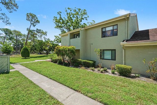 13507 PALMWOOD LANE 13507, Tampa, FL 33618