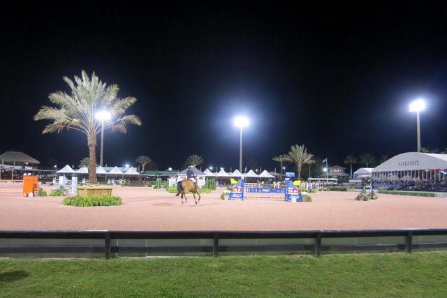 13164 Quiet Woods Road B, Wellington, FL 33414