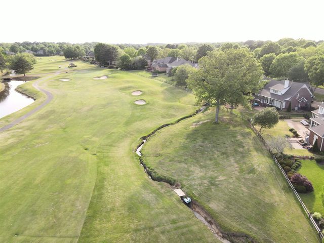 10295 W SHREWSBURY RUN, Collierville, TN 38017