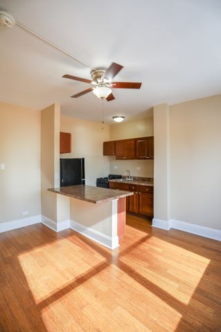 5326 S cornell Avenue 210, Chicago, IL 60615
