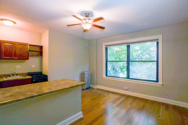 5326 S cornell Avenue 210, Chicago, IL 60615