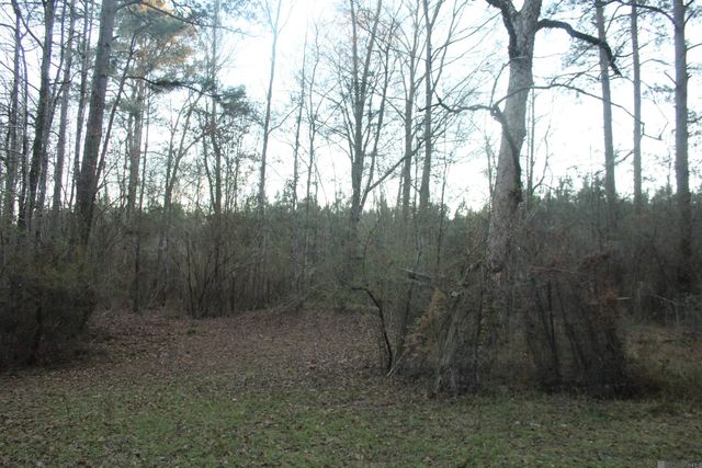 8167 Odeal Williams Ln, Ethel, LA 70730