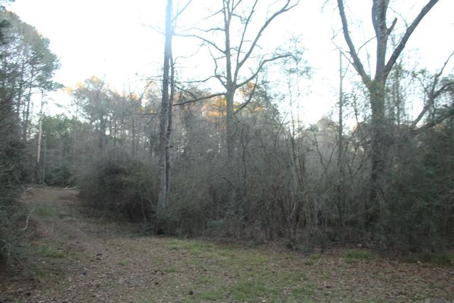 8167 Odeal Williams Ln, Ethel, LA 70730