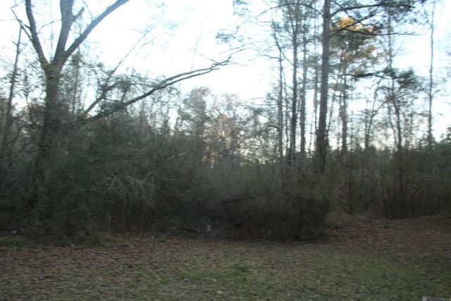 8167 Odeal Williams Ln, Ethel, LA 70730