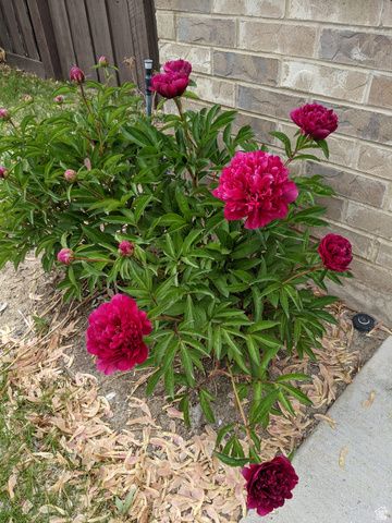 442 W 2540 N, Lehi, UT 84043