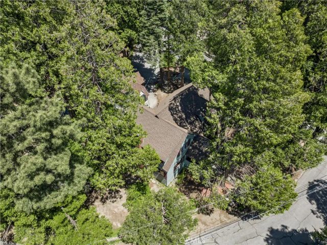 157 Bret Harte Road, Lake Arrowhead, CA 92352