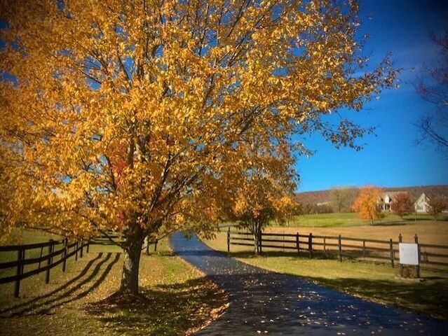 115 Main Street, Pikeville, TN 37367