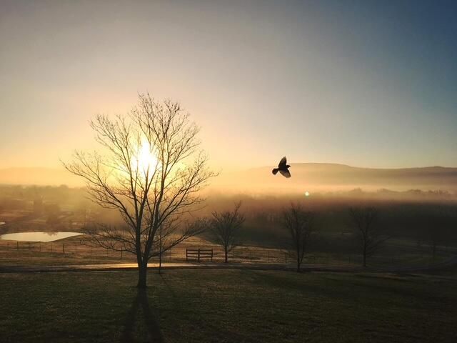 115 Main Street, Pikeville, TN 37367