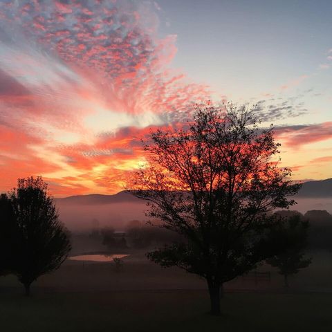 115 Main Street, Pikeville, TN 37367