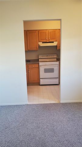 101 Sylvan Avenue 44, Miller Place, NY 11764