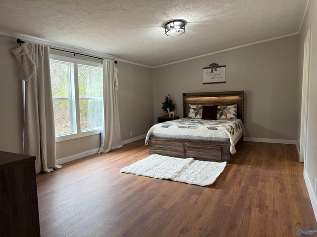 530 County Road 360, Trinity, AL 35673