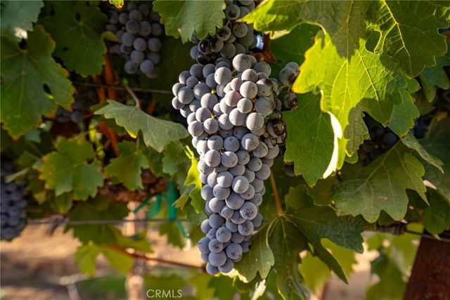 7010 Wilderness Lane, Paso Robles, CA 93446