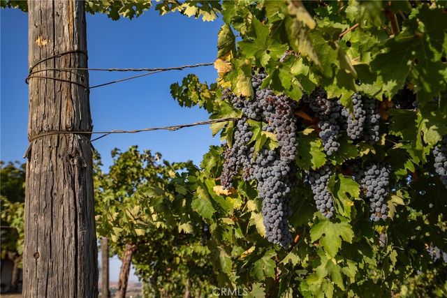 7010 Wilderness Lane, Paso Robles, CA 93446