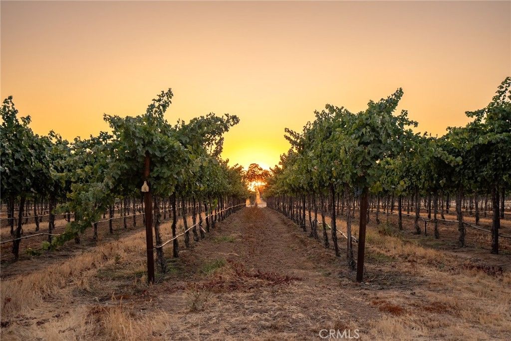 Image 66 of property listing at 7010 Wilderness Lane, Paso Robles, CA 93446