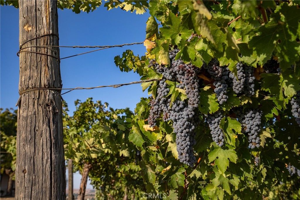 Image 67 of property listing at 7010 Wilderness Lane, Paso Robles, CA 93446