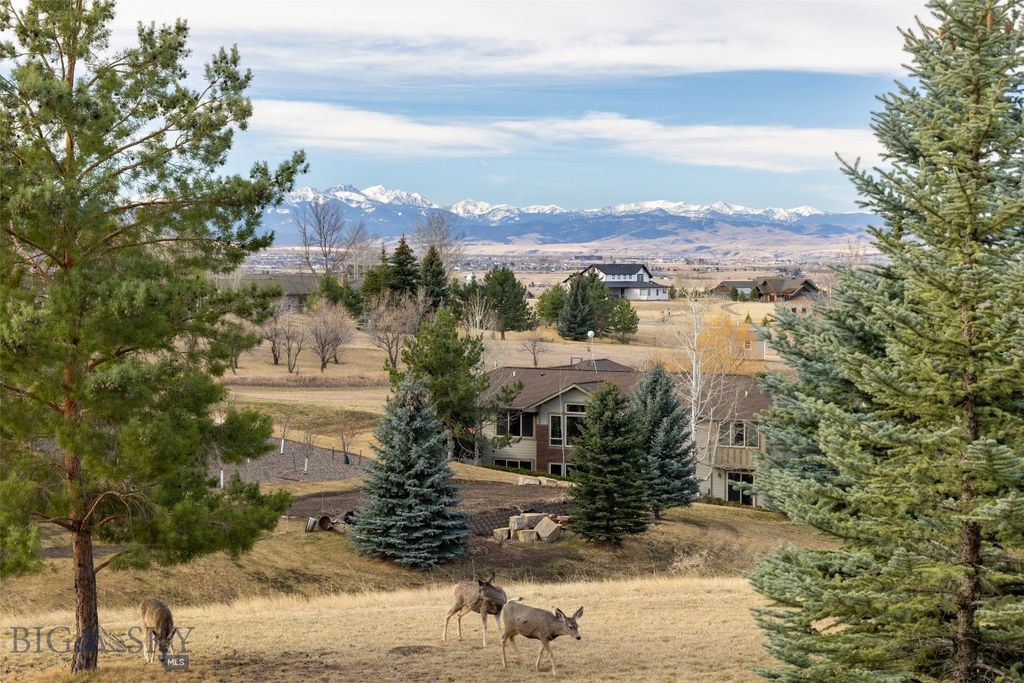 375 Summer Ridge Road, Bozeman, MT 59715 photo 13