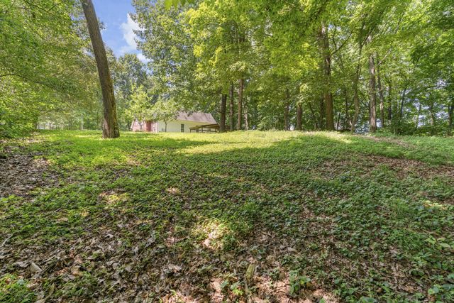 7339 Chowning Rd, Springfield, TN 37172