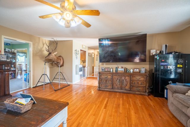 34 Morris Rd, Leoma, TN 38468