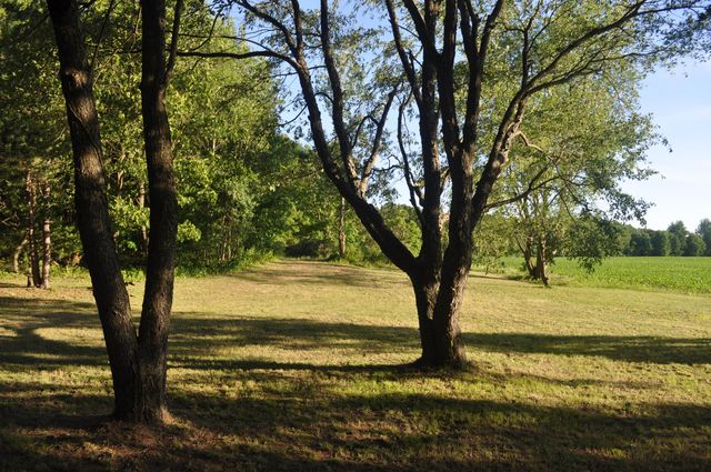 11450 16 Mile Road NE, Cedar Springs, MI 49319