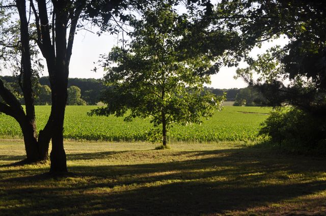 11450 16 Mile Road NE, Cedar Springs, MI 49319