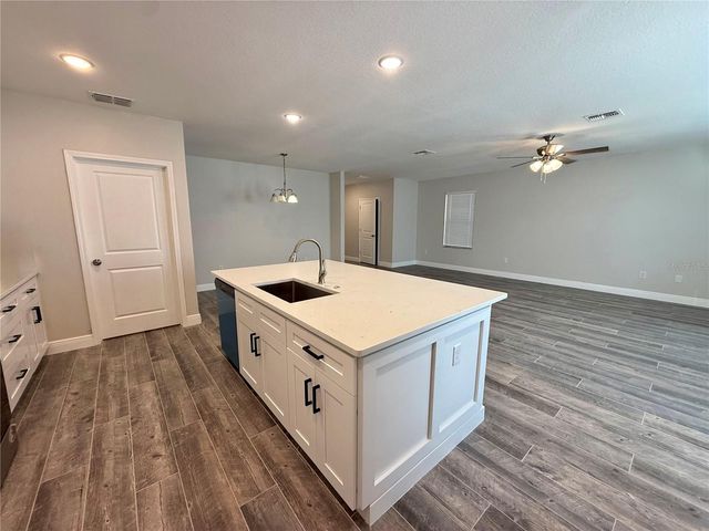 13909 ARBOR PINES DRIVE, Riverview, FL 33579