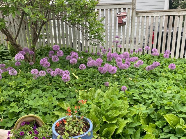 5441 Ridgeway Street, White Bear Twp, MN 55110