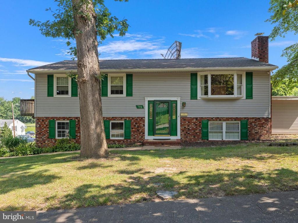 308 W 11TH AVENUE, Baltimore, MD 21225