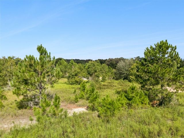 SUGARLOAF MOUNTAIN ROAD, Clermont, FL 34711